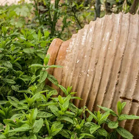 Appartement Marina's Garden Nests - Bliss Getaways