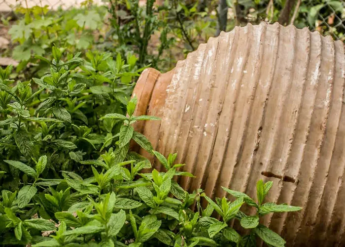 Apartmán Marina's Garden Nests - Bliss Getaways